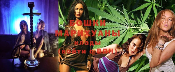 ГАЛЛЮЦИНОГЕННЫЕ ГРИБЫ Аркадак