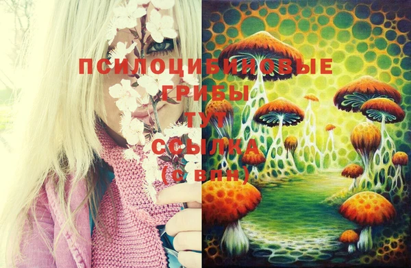 ECSTASY Армянск