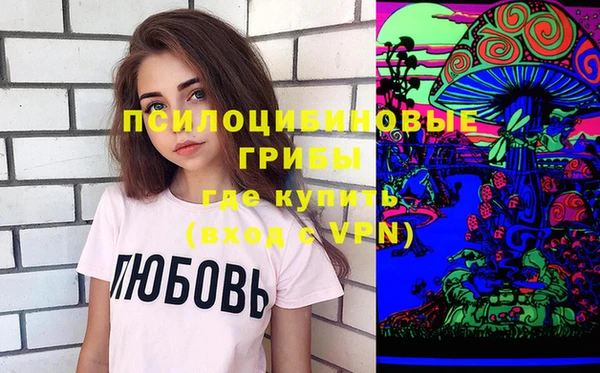 ГАЛЛЮЦИНОГЕННЫЕ ГРИБЫ Аркадак