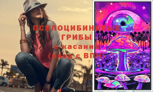 ECSTASY Армянск